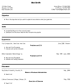 Resume template styles